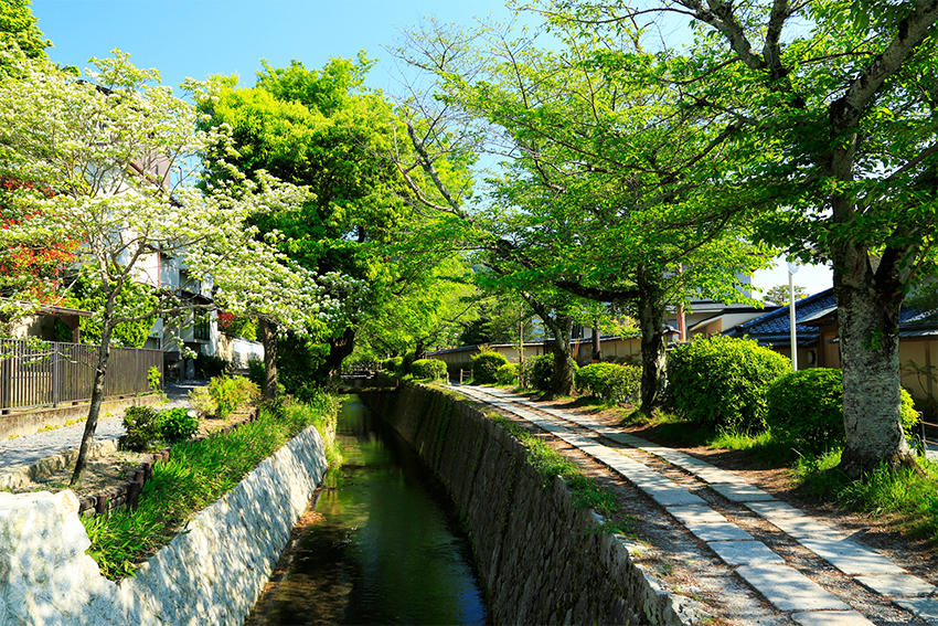 哲学の道（京都府 京都市）