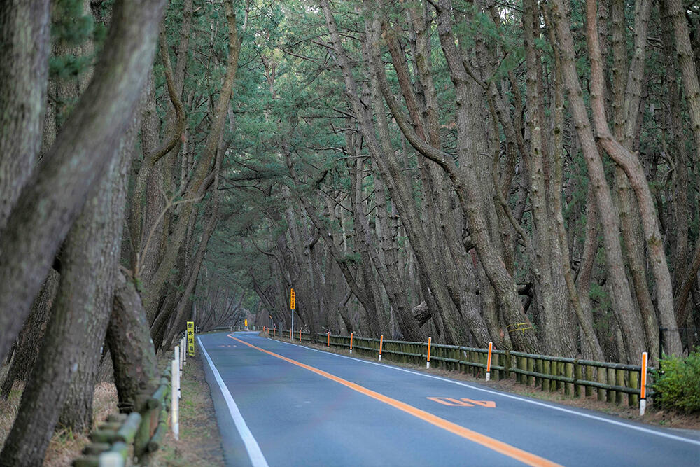 虹の松原（佐賀県）