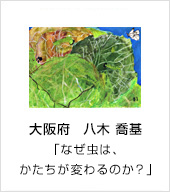 大阪府　八木 喬基　「なぜ虫は、かたちが変わるのか？」