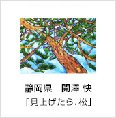 静岡県　開澤 快　「見上げたら、松」