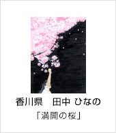 香川県　田中 ひなの　「満開の桜」