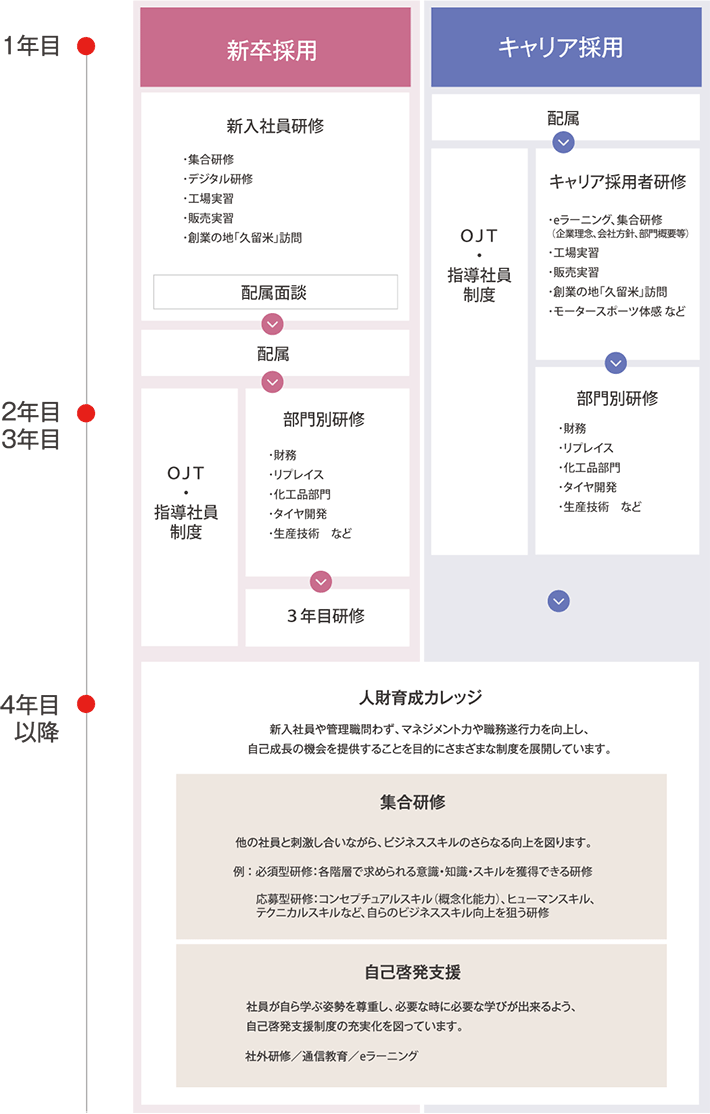 新入社員・若手社員の研修体系図